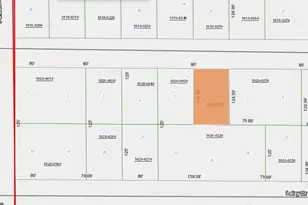 111 Edgewood Dr, Georgetown, FL 32139 - Photo 1