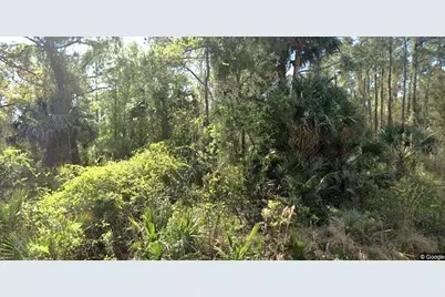 111 Edgewood Drive, Georgetown, FL 32139 - Photo 2