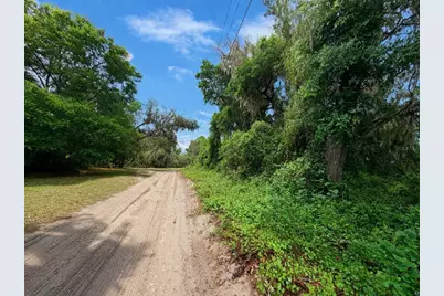 Tbd NE 52nd Court, Anthony, FL 32617 - Photo 6
