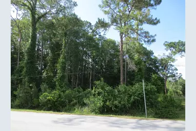 14655 NE 14th Street Road, Silver Springs, FL 34488 - Photo 1