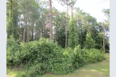 14655 NE 14th Street Road, Silver Springs, FL 34488 - Photo 4