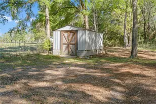 4824 NE 140th Ct, Williston, FL 32696 - Photo 6