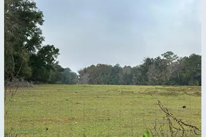 Nw 160th Street, Reddick, FL 32686 - Photo 4