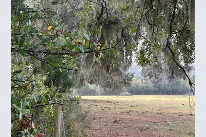 Nw 160th Street, Reddick, FL 32686 - Photo 6