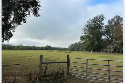 Nw 160th Street, Reddick, FL 32686 - Photo 8