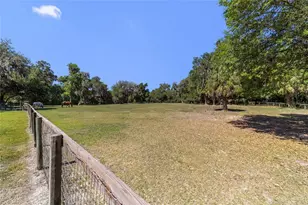 20005 NW 135th Ave, Micanopy, FL 32667 - Photo 86