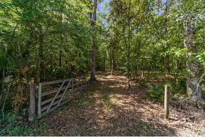 20005 NW 135th Avenue, Micanopy, FL 32667 - Photo 94