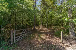 20005 NW 135th Ave, Micanopy, FL 32667 - Photo 94