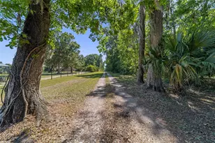 20005 NW 135th Ave, Micanopy, FL 32667 - Photo 90