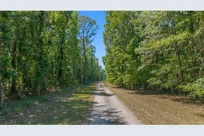 20005 NW 135th Avenue, Micanopy, FL 32667 - Photo 96