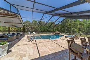 20005 NW 135th Ave, Micanopy, FL 32667 - Photo 44