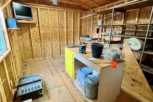 8575 NE 305th Ave, Salt Springs, FL 32134 - Photo 62