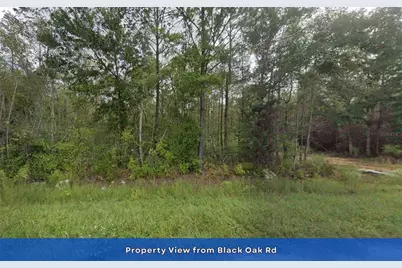 4536 Black Oak Road, Milton, FL 32583 - Photo 10
