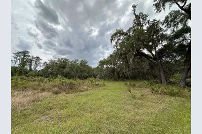 6800 NE 175th St. Road, Citra, FL 32113 - Photo 20