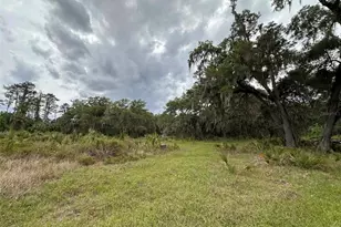 6800 NE 175th Street Rd, Citra, FL 32113 - Photo 20