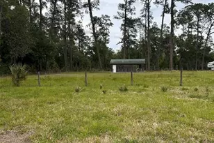 6800 NE 175th Street Rd, Citra, FL 32113 - Photo 18