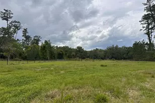 6800 NE 175th Street Rd, Citra, FL 32113 - Photo 28