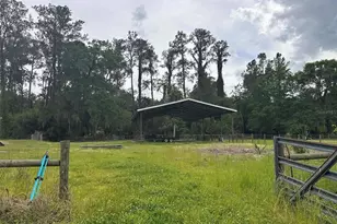 6800 NE 175th Street Rd, Citra, FL 32113 - Photo 22