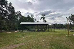 6800 NE 175th Street Rd, Citra, FL 32113 - Photo 26