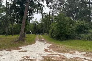 6800 NE 175th Street Rd, Citra, FL 32113 - Photo 8