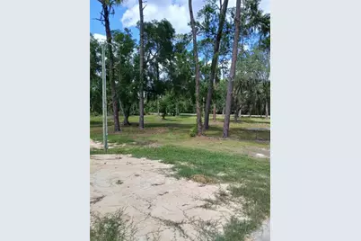 6800 NE 175th St. Road, Citra, FL 32113 - Photo 4