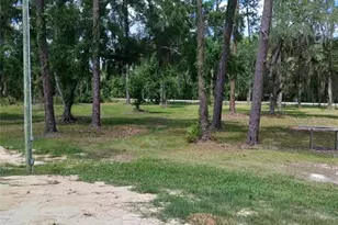 6800 NE 175th Street Rd, Citra, FL 32113 - Photo 4