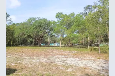 Ne 141st Ct, Fort Mc Coy, FL 32134 - Photo 1