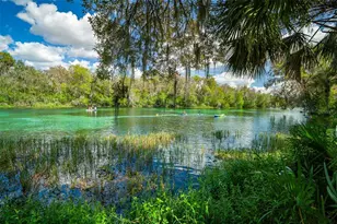 9660 SW 196th Avenue Rd, Dunnellon, FL 34432 - Photo 72