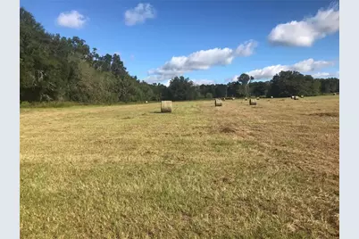 32nd Court, Reddick, FL 32686 - Photo 1