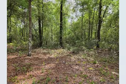 Tbd NW 97th Court, Chiefland, FL 32626 - Photo 1