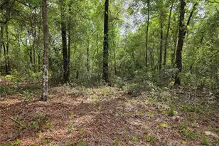 Tbd NW 97th Ct, Chiefland, FL 32626 - Photo 1