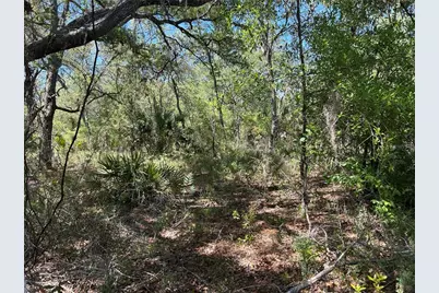 Tbd SE 62nd, Morriston, FL 32668 - Photo 2