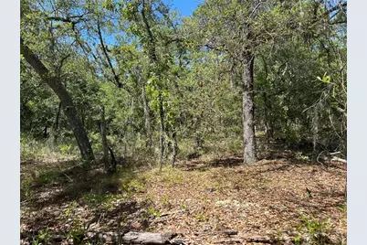 Tbd SE 62nd, Morriston, FL 32668 - Photo 4