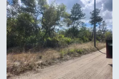 Tbd NE 236 Lane, Orange Springs, FL 32182 - Photo 4