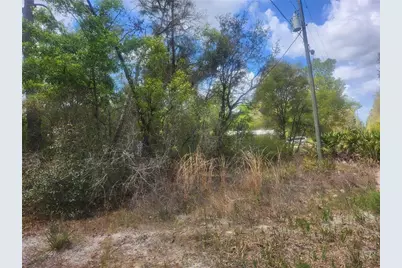Tbd NE 236 Lane, Orange Springs, FL 32182 - Photo 1