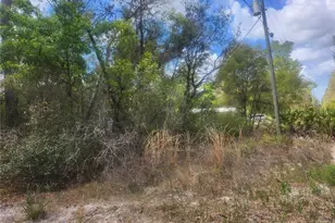 Tbd NE 236 Ln, Orange Springs, FL 32182 - Photo 1