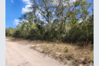 Tbd NE 236 Lane, Orange Springs, FL 32182 - Photo 2