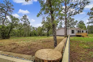 1191 NE 124th Terrace, Williston, FL 32696 - Photo 2