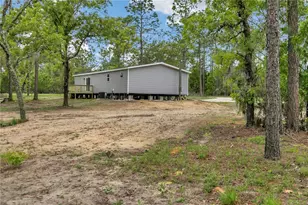 1191 NE 124th Terrace, Williston, FL 32696 - Photo 42