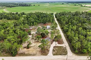 1191 NE 124th Terrace, Williston, FL 32696 - Photo 30