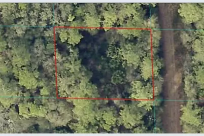 00 NE 66th Court, Citra, FL 32113 - Photo 1