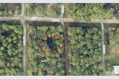 00 NE 66th Court, Citra, FL 32113 - Photo 4