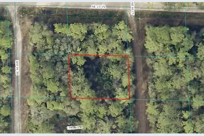 00 NE 66th Court, Citra, FL 32113 - Photo 8