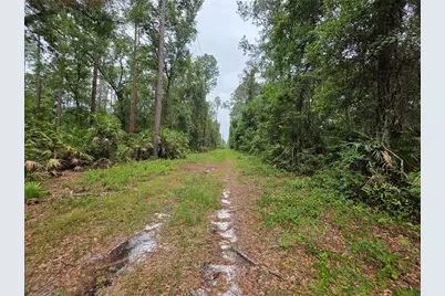 00 NE 66th Court, Citra, FL 32113 - Photo 6
