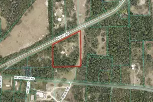 24595 NE Hwy 315, Fort Mc Coy, FL 32134 - Photo 42