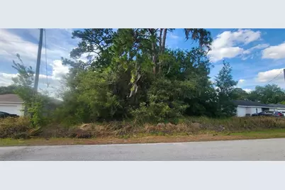 Lot 19 Dogwood Drive Loop, Ocala, FL 34472 - Photo 6