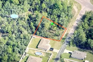 7327 N Lime Dr, Citrus Springs, FL 34433 - Photo 1