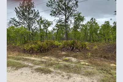 Sw 95th Pl, Dunnellon, FL 34432 - Photo 4