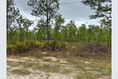 Sw 95th Pl, Dunnellon, FL 34432 - Photo 2
