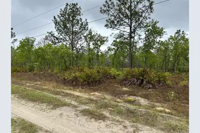 Sw 95th Pl, Dunnellon, FL 34432 - Photo 1